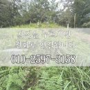 원스톱벌초