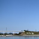 정화여행