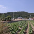 상신2리 이미지