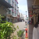 고만록농장 이미지