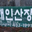 삼도봉 해인펜션 네이버블로그
