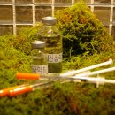 흑룡한의원 이미지