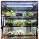 돈우리농장 이미지