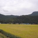 안태지천 | 내고향은 문경-040926