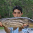 상진대교 밑 이미지