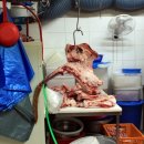 몽실이네토종한우 이미지