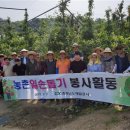 일손개발 이미지