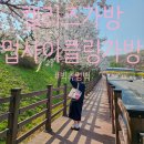 츄잉츄잉 | 켈리즈 업사이클링 가방 초보리즈의 첫구매후기 - 빅츄잉백