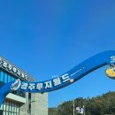 P-6939 | 대구근교 경주 가볼만한곳 보문단지가 보이는 루지월드에서 내돈내산으로 시원하게 달리고 온 후기