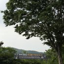 다슬기 반딧불이 | 제2회 연천군 반딧불이 축제 내돈내산 솔직 후기