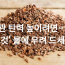 혈관 탄력 높이려면… '이것' 물에 우려 드세요 이미지