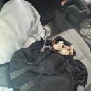 얍PC카페 | 🇺🇸미국 F1 비자 발급기! ( 대사관 인터뷰/ 종각역 인쇄 ‘킨코스’/ 광화문역 물품보관함)