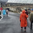 내포문화숲길_백제부흥군길_6코스_4 네이버블로그