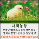 새싹3호농장 이미지