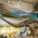 공룡시대부터 1987년까지‘빅 히스토리’, 서대문자연사박물관과 서대문형무소역사관 이미지