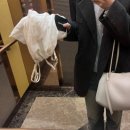 봄이 오기 전에 후다닥
