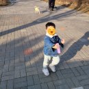 석촌호수어린이집 이미지