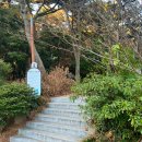 태종대 | 부산 아이랑 가볼만한 곳| 태종대 다누비열차 이용후기