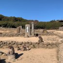시마 - 영도구 동삼로 105 | 시마