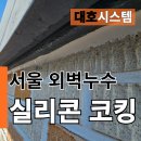 대호산업 | 서울 외벽누수 실리콘 코킹으로 해결! 로프공 전문업체 시공 후기