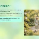 원어민 여행영어회화 이미지