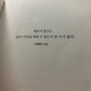 낭만청춘