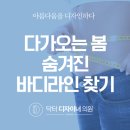 진바디핏 이미지