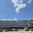 서리풀문화광장 공중화장실 | 분당 문화의 거리 산책하기 좋은 도심 힐링 명소 분당구청 앞 잔디광장까지