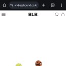 바운드리스바운드BLB 이미지