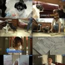 화신농장 이미지