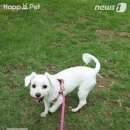 백설세탁소 이미지