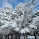 이동명 행정사 사무소 이미지