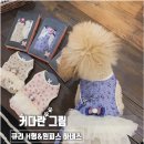 큐리애견 이미지