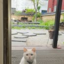 민둥산집