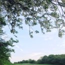 라온골프 이미지