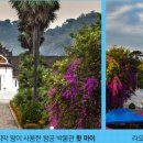 다인여행사 - 서구 구봉로 121 | 다인여행사