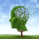 위존한의원 이미지