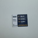 청년피자서초
