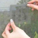 동방시트 이미지