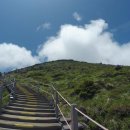 김녕 몽생이 이미지