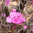 환상의섬 이미지