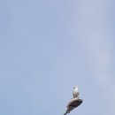 신통치킨진천점 | 주말 나들이 대천항과 맛있는 치맥 신통치킨~