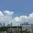 베드보스 | 싱가포르 스위소텔 : 마리나베이 정면뷰, 3인 엑스트라 베드 숙박후기