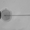 한국유전자연구소 이미지