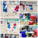 왕호 태권도 이미지