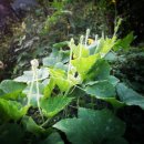 찾아가는 행정사사무소 이미지