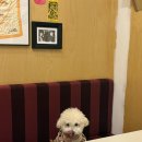 안양시청내 지하주차장 이미지