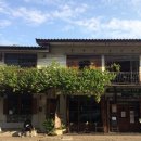 오케이팜 | 치앙마이 코끼리 체험 엘리펀 팜 오픈런 후기 (+투어 대신 그랩으로 다녀온 방법)