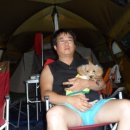 소선암유원지(야영장)내 이미지