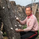 대정농장 이미지